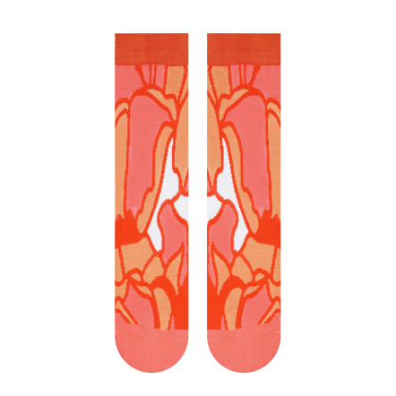 Crystal Socks - DESERT Collection - WWF® (2)